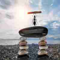 精﻿准‌教‍学‍是‍什​么﻿教﻿学‌方‍式﻿的﻿